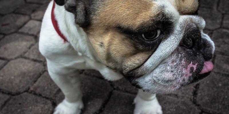 400G/800G以太网技术：揭秘数据中心高速互联的下一代标准与部署实践