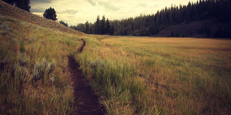 GPSSH网络技术深度解析：云原生网络在微服务架构下的服务网格实践与开发教程