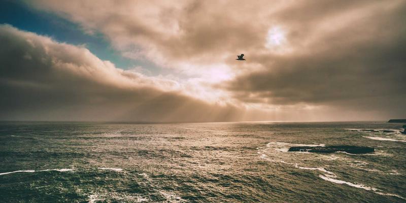 GPSSH：高效管理服务器集群的编程利器