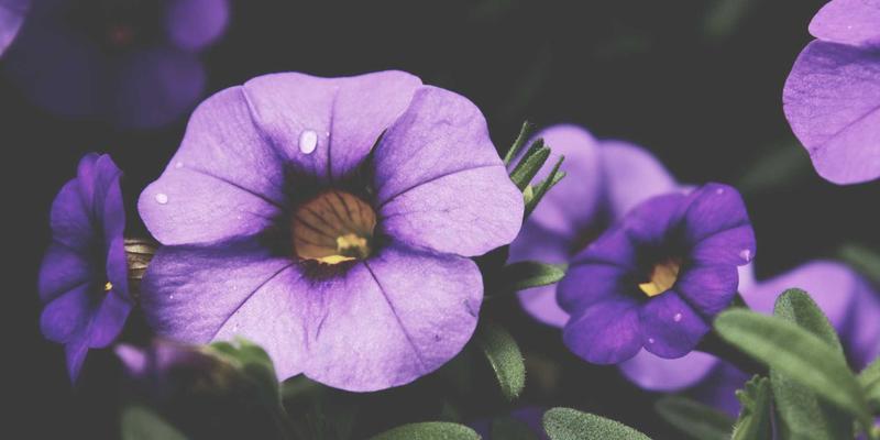 TSN技术深度解析：如何为工业互联网与车载以太网提供确定性网络保障