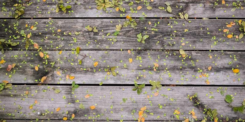 Wi-Fi 7核心技术解析：如何为下一代AR/VR体验提供关键支撑 | 技术博客与资源分享