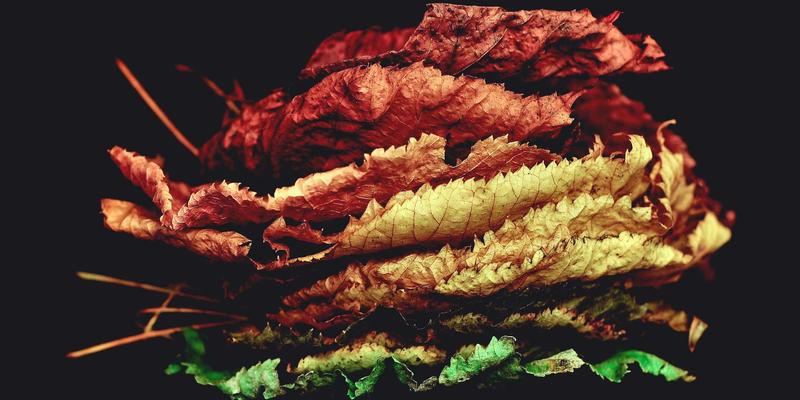 从开发教程到服务器部署：区块链如何重塑网络数据安全与可信传输