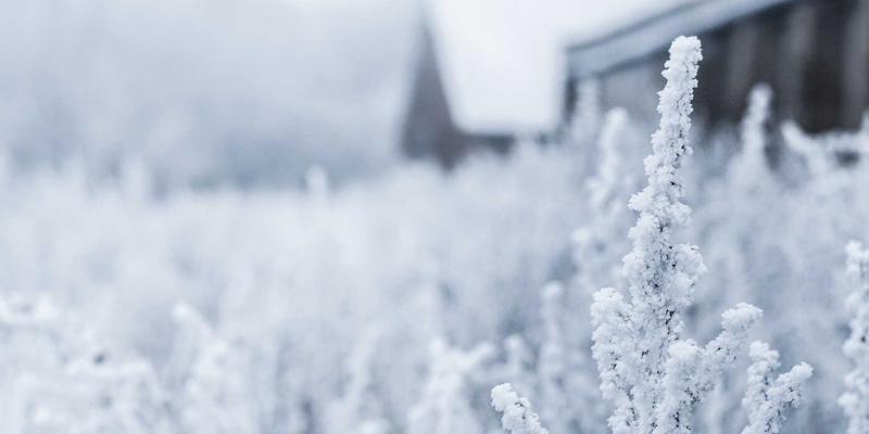 从开发教程到资源分享:网络技术发展的学习路径与实战指南