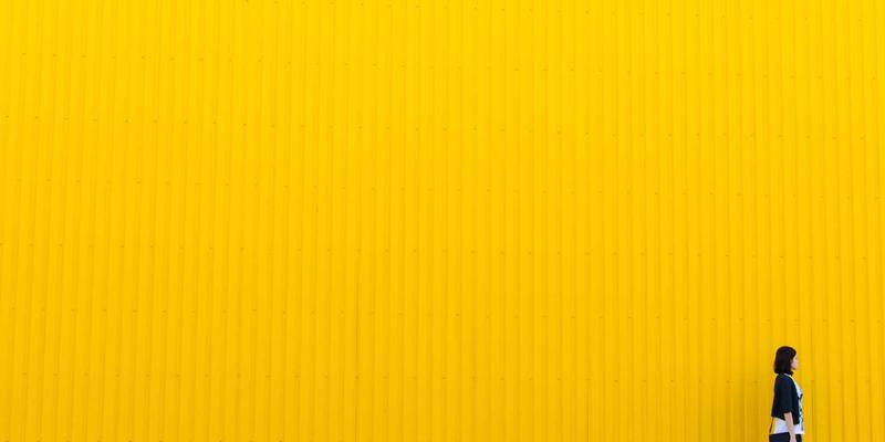 从零到精通:服务器开发教程与优质资源全分享