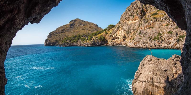 从零构建企业零信任网络：网络技术与编程实战指南