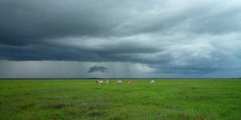 技术博客 | 深度解析GPSSH编程：如何利用网络流量智能分析（NTA）与全流量回溯进行高效威胁狩猎