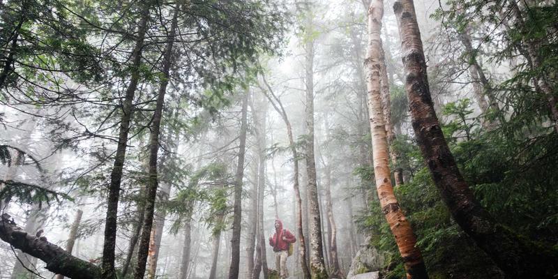 网络技术95：从编程基础到实战开发的完整指南