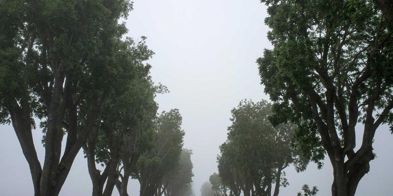 网络技术入门：从编程基础到GPSSH开发实战教程