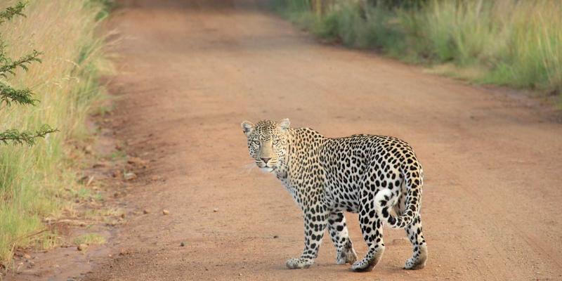 软件定义边界（SDP）如何重塑企业应用访问安全模型：从GPSSH到零信任的演进